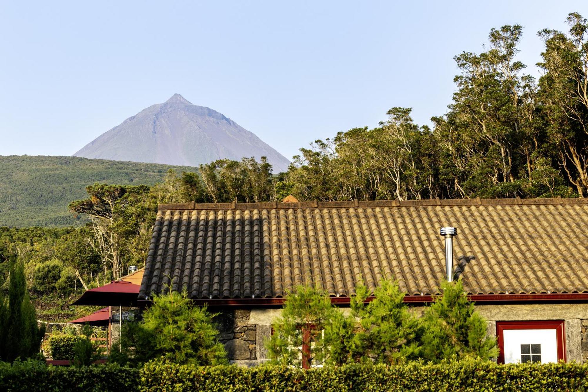 Aldeia Das Adegas São Roque do Pico المظهر الخارجي الصورة